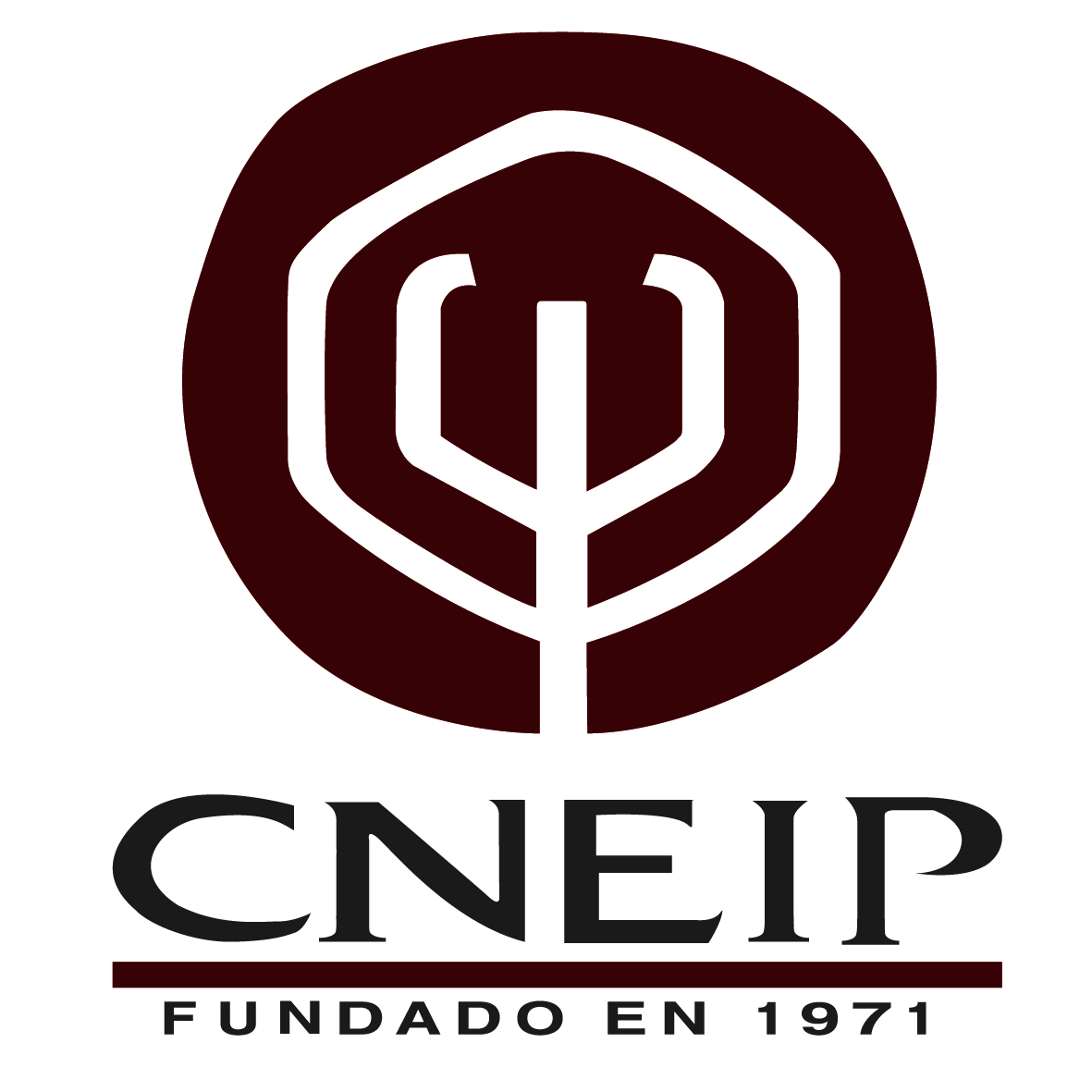 CNEIP | Consejo Nacional para la Enseñanza e Investigación en Psicología